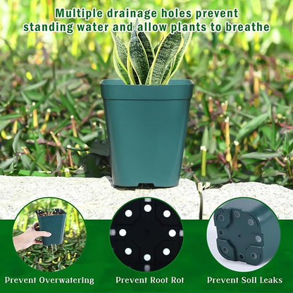 June Fox Plastic Seedling Pots, 60 Pack Square Nursery Pots 4 Inch, Small Plant Pots with Drainage Holes for Seedlings, Succulents, Cuttings (Green)