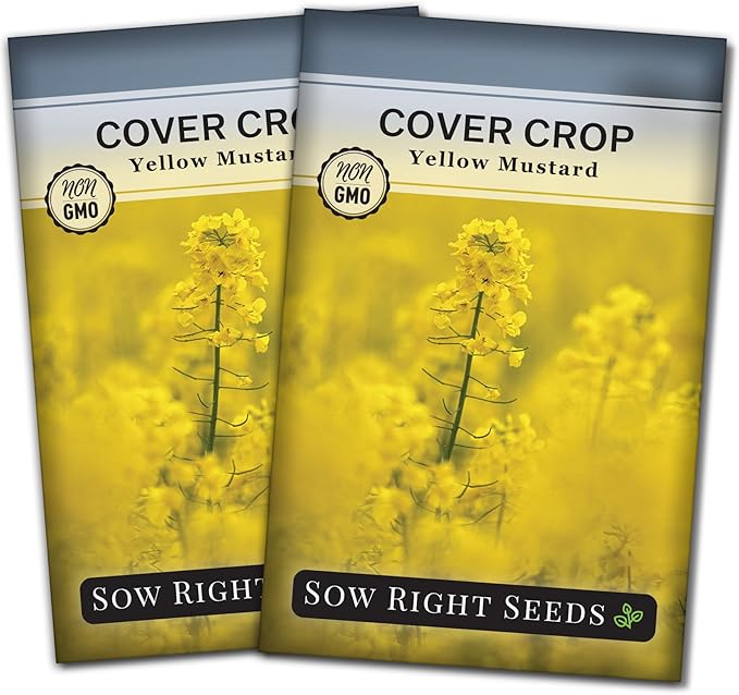 Sow Right Seeds - Yellow Mustard Seed for Planting - Cover Crops to Plant in Your Home Garden - Enriches Soil - Suppresses Weeds - Cold Hardy - Non-GMO Heirloom Seeds - Great Gardening Gift (2)