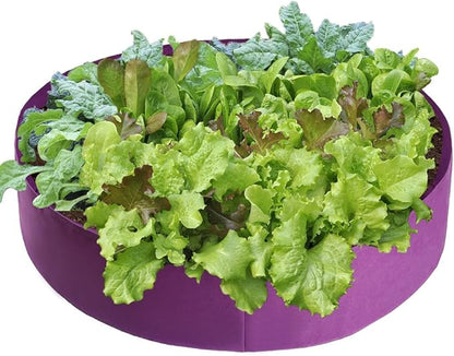 Firlar 2 Pack Fabric Raised Garden Bed, 100 Gallon Planting Bed Round Raised Planter Grow Bag Garden Bed Bag Planter Container for Plants, Herb, Flowers and Vegetables