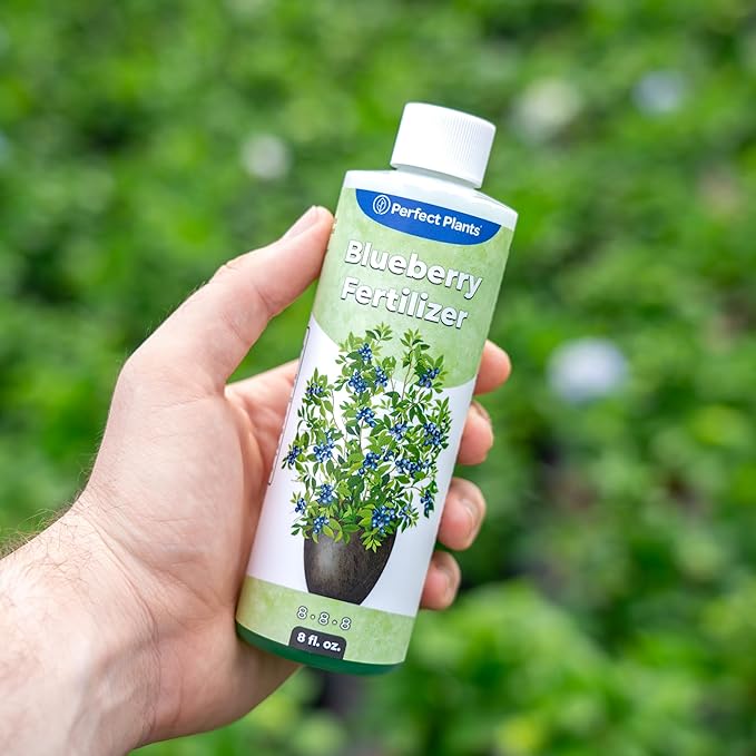Liquid Blueberry Fertilizer by Perfect Plants | Berry Booster | Premium Fertilizer for Blueberries and Other Acidic Soil Fruiting Plants (8 fl oz)