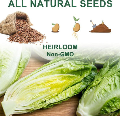 Salad Greens Seed Pod Kit with Lettuce and Tomato, Red and Green Leaf, Butter Head, Spinach for Hydroponic Pods, Grow Anything for Hydroponics Growing System Kit, Plant Food and Growing Guide 8-Pod