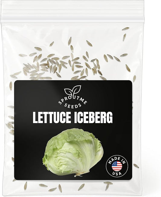Iceberg Lettuce Seeds for Planting – 500+ Non-GMO Heirloom Crisphead Lettuce Seeds (Lactuca Sativa)