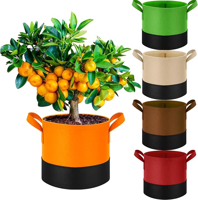 5 Pack 3 Gallon Durable Grow Bags, 350G Heavy-Duty Fabric Pots with Handles, Breathable Plant Containers for Vegetables, Flowers, Fruits, Indoor & Outdoor Gardening, Aeration Fabric Planters