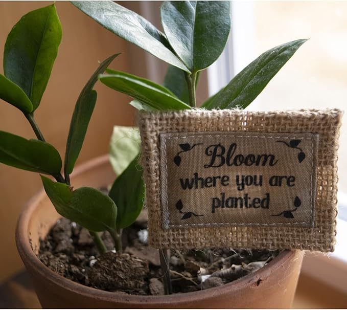 Cathedral Art Abbey & CA Gift Bloom Where Planted Flag Flower Pick, One Size, Multi