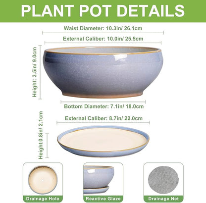 SQOWL Succulent Pots - 10 Inch Ceramic Bonsai Pots with Drainage Hole and Saucer, Round Shallow Planter for Indoor Outdoor Plants, Ceramic Planter Bowl, Home Decor, Gardening Gifts, Blue