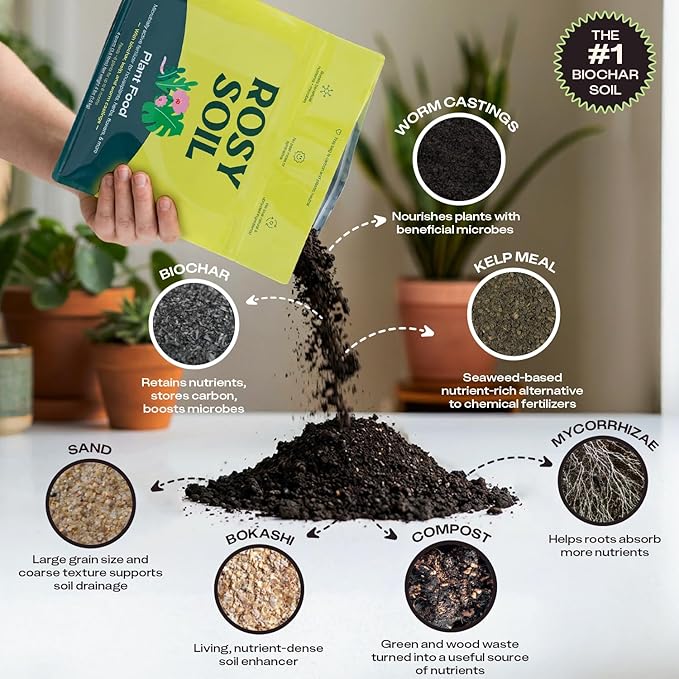 Rosy Soil Plant Food - Microbially Active Fertilizer for Houseplants, Herbs, Flowers – Enriched with Biochar, Kelp, and Worm Castings – Organic Food for Healthy Growth – 4 Quarts