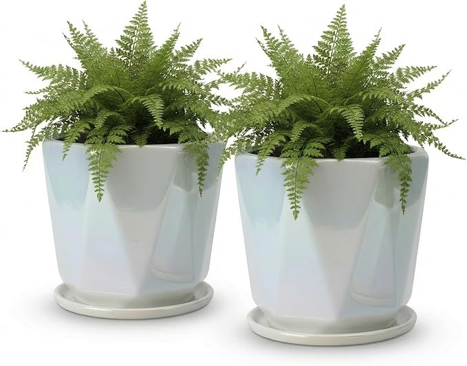 Coco Andrea Ceramic Plant Pots for Indoor Plants with Drainage & Saucers - 5-inch Iridescent White Planters for Houseplants, Succulents & Flowers - 2-Piece Housewarming Gift Set (2, Large)