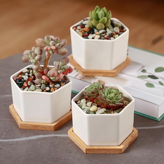 6.6 lbs Succulent and Cactus Bonsai Pebbles, 4-6mm Decorative Landscaping Polished Stones Natural Garden Gravel Rocks for Indoor Outdoor Plants Aquariums DIY, and Gardening Top Dressing, Multicolor