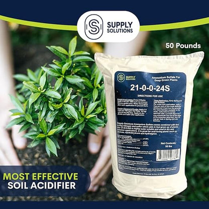Supply Solutions 21-0-0-24S Ammonium Sulfate for Deep Green Plants - Soil Acidifier for Blueberry Blooms, Azalea and Magnolia Tree Fertilizer - Sulfur for Plants Nitrogen Fertilizer (50 Pounds)