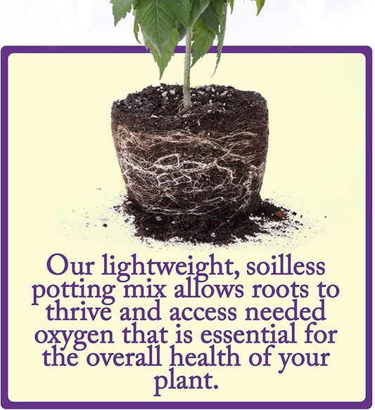 Esbenshade's Professional Lightweight Potting Mix, 14 Quart Bag - Soilless Blend for Indoor/Outdoor Plants - Raised Beds & Containers - Peat Moss, Perlite, Bark, Lime