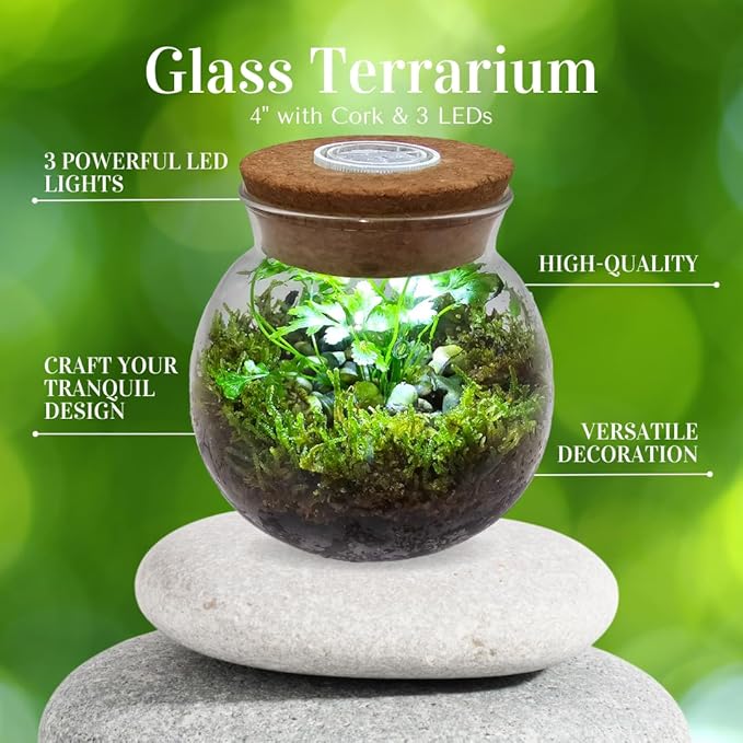 Silver Circle Products Unique Gardener: Glass Terrarium - 4'' with Cork & 3 LEDs - Light Up Cork, Gardening Planter, Glass, for Succulents, Flowers, Herbs & More
