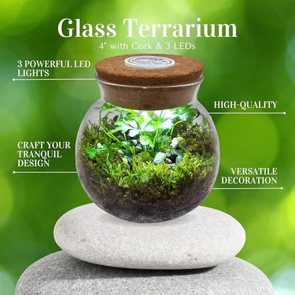 Silver Circle Products Unique Gardener: Glass Terrarium 2 Pack - 4'' with Cork & 3 LEDs - Light-Up Cork, Gardening Planter, Glass, for Succulents, Flowers & More