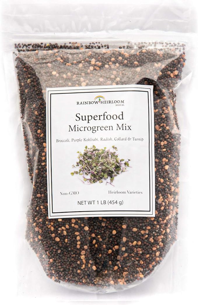 Superfood Microgreen Seeds Mix | for Microgreens Growing Trays | 1 LB | Heirloom Non GMO Purple Kohlrabi, Collard, Radish, Turnip & Broccoli Sprouts Seeds | Rainbow Heirloom Seed Co.