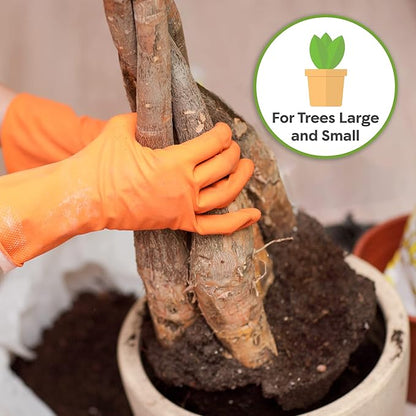 Perfect Plants Money Tree Potting Soil 2qt | Organic Coco Coir Based Plant Mix for Indoor Trees | Quickly Grow Your Indoor Forest (2qts.)