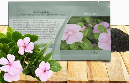 Outsidepride Pink Periwinkle Seeds for Planting – 4000 Pcs Annual, Fast-Blooming, Heat & Drought Tolerant Vinca Flower Seeds with Vibrant Colors Ideal for Gardens, Beds, Borders & Containers