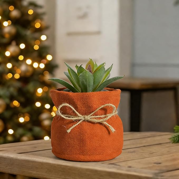 Succulent Pots Flower Pots for Indoor Plants Cute Plant Pots Candy Bowl for Office Key Holder Bowl Farmhouse Table Decor (Orange)