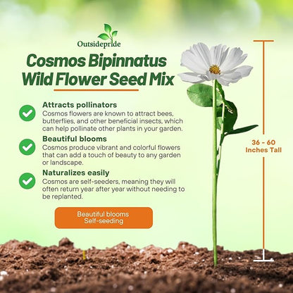 Outsidepride Sensation Mix Cosmos Bipinnatus Seeds - 1/4 lb. Annual, Drought-Tolerant, Self-Sowing, Mixed Flower Seeds for Planting Outdoors, Easy-Grow Pollinator Garden & Cut Flowers (AAS Winner)