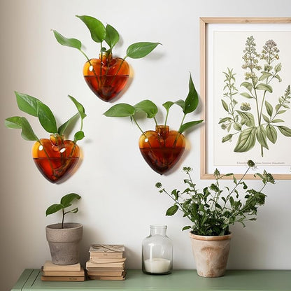 Wall Hanging Planter Propagation Station for Indoor Plants Glass Vase Air Plant Holder for Bathroom Living Room