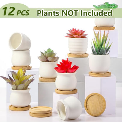 Remerry 12 Pcs 2.5 Inch Mini Succulent Pots with Bamboo Tray White Ceramic Pots Color Your Own DIY Small Planters Containers for Flower Cactus with Drainage Hole for Plant Lover