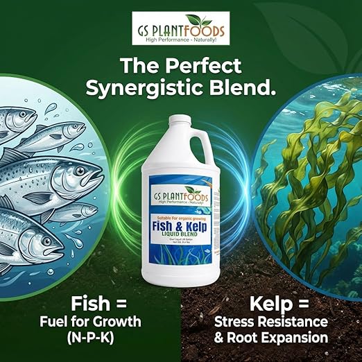 GS Plant Foods Liquid Fish & Kelp Fertilizer (5 Gallons) – Organic Material Review Institute Listed Natural Plant Food for Home Gardens, and Vegetables