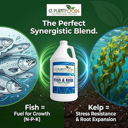 GS Plant Foods Liquid Fish & Kelp Fertilizer (1 gallon) – Organic Material Review Institute Listed Natural Plant Food for Home Gardens, and Vegetables