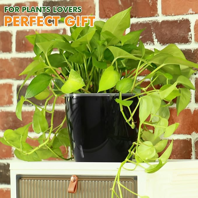 Planterhoma 5 Inch Self Watering Pots for Indoor Plants, 12 Packs African Violet Pots with Indicator, Black Wick Pot with Drainage Holes, Self Watering Planters for Orchid, Devil's Ivy, Black