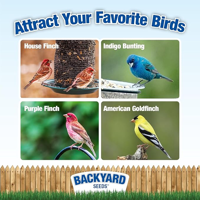 CountryMax Nyjer Thistle Seed for Finches 50lbs - Premium Nyjer Bird Seed for Outside Feeders, Large Bulk Bag of Wild Bird Food
