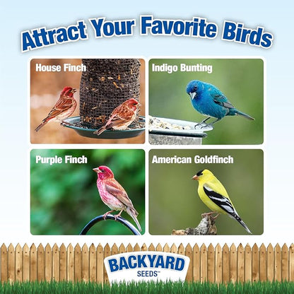 CountryMax Nyjer Thistle Seed for Finches 50lbs - Premium Nyjer Bird Seed for Outside Feeders, Large Bulk Bag of Wild Bird Food