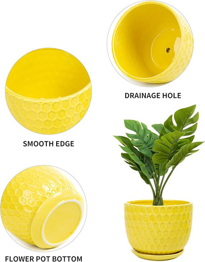 Yellow Ceramic Flower Pots with Saucers, Modern Round Ceramic Succulent Plant Pots with Honeycomb Inspired Texture Design, Small to Medium Sized, Set of 3