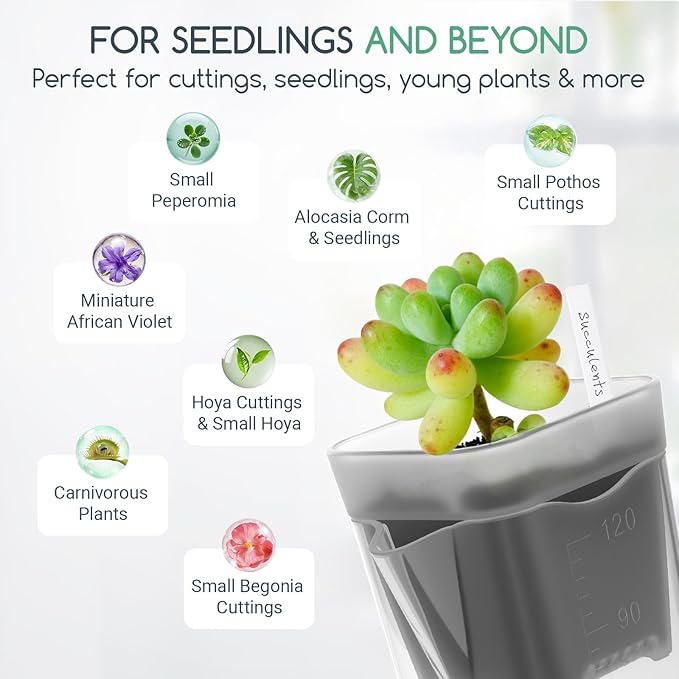 12 Pack 2" Small Self-Watering Planter Pots - Mini Clear Seed Starter Pots with Visible Water Level, Plastic Nursery Pots for Succulents, Herbs, and Propagation - Includes 12 Plant Labels