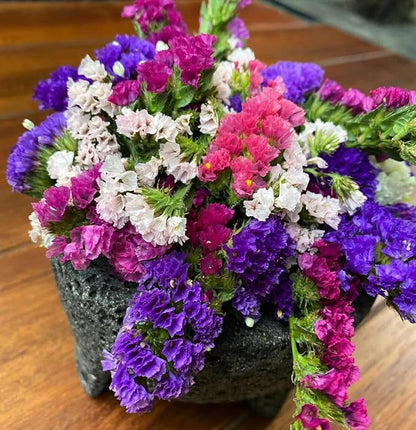 Wavyleaf Sea Lavender (Limonium, Statica) Mix Seeds Annual Flowers Herbs for Planting Non GMO 80 Seeds