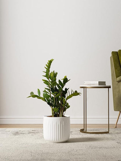 LE TAUCI Fluted Ceramic Planters, 8.3/7/6 Inch Indoor Pots for Plants with Drainage Holes & Mesh, Modern Matte Glaze Cylinder Plant Pot for Snake Plant, Set of 3, White