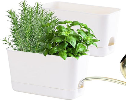 Self Watering Planters: 2 Packs Rectangular Plant Pots with with Drainage and Tray, 10 Inch Window Pot Self Watering Planter for Herb, Houseplants