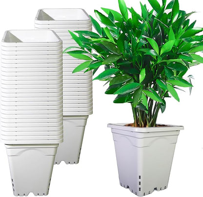 HG7X7SW 7"x7" Square White Pot, 9" Tall, Pack of 50 (50)