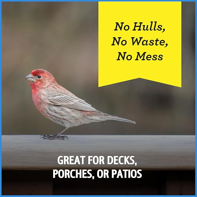 Pennington Select Chips & Bits Wild Bird Seed for Outside Feeders, High-Protein, No Hull & No Waste Bird Seed Blend, Sunflower Chips & Peanut Bits Attract Songbirds,15-lb. Bag