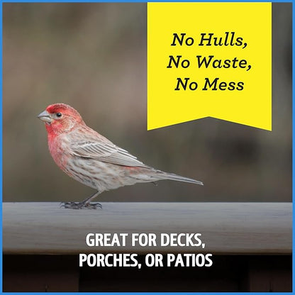 Pennington Select Chips & Bits Wild Bird Seed for Outside Feeders, High-Protein, No Hull & No Waste Bird Seed Blend, Sunflower Chips & Peanut Bits Attract Songbirds,15-lb. Bag