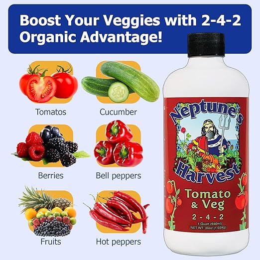 Neptune’s Harvest Organic Tomato & Vegetable Plant Fertilizer (2-4-2) - 36oz Bottle (Pack of 2) - Liquid Plant Food w/Fresh Fish, Seaweed, Molasses, Yucca Extract, & Humic Acids - for Vegetable Garden