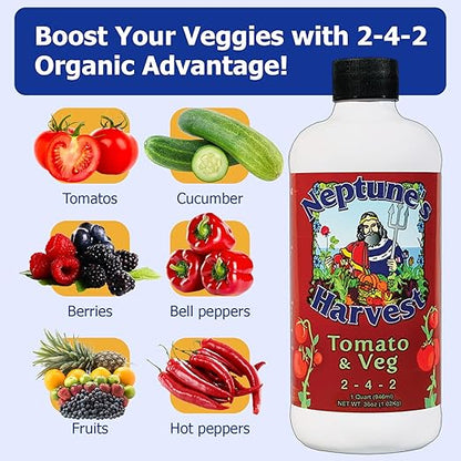 Neptune’s Harvest Organic Tomato & Vegetable Plant Fertilizer (2-4-2) - 36oz Bottle (Pack of 2) - Liquid Plant Food w/Fresh Fish, Seaweed, Molasses, Yucca Extract, & Humic Acids - for Vegetable Garden