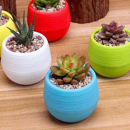 Elsjoy 30 Pack Mini Succulent Pot, 3 Inch Plastic Seed Starter Pots Small Cute Succulent Planter with Drainage for Indoor & Outdoor Plants, Home Decor, Free Assembly