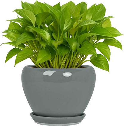 Deep Dream 6 Inch Plant Pots- Ceramic Planter Pot with Drainage Hole and Saucer, Round Flower Pot for Indoor Outdoor Succulent, Snake Plants and Cactus, Grey