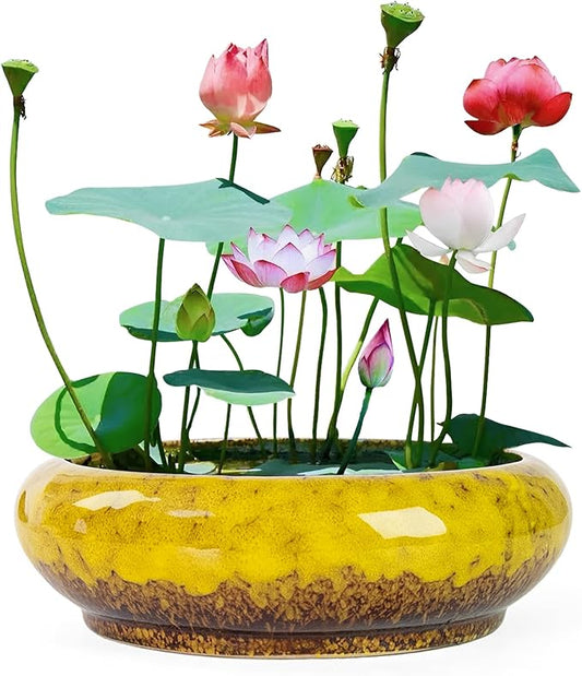 Lotus Bowl Planter - 7.3 Inch Large Lotus Flower Bowl for Water Plants, Ceramic Hydroponic Planter Water Lily Bowl for Planting Aquatic and Indoor Succulent Plants and Bonsai