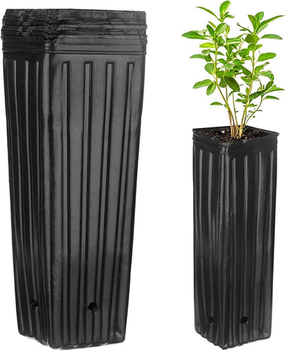 20-Pack Plant Nursery Pots, 4.72x4.72x12.6 Inch Plastic Deep Growing Nursery Pots Succulent Planter Flower Tree pots with Drainage Holes for Indoor Outdoor Gardening [Black]