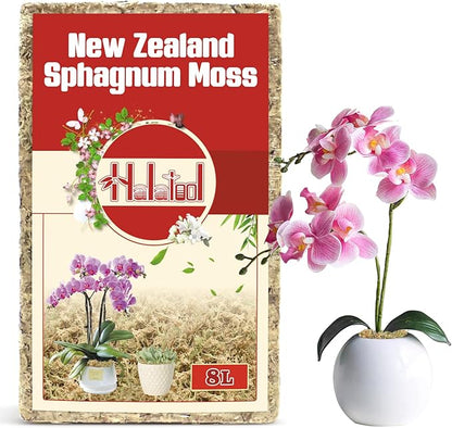 Halatool Premium New Zealand Sphagnum Moss, 100g(8L When Hydrated), for Orchid Repotting Succulent Sarracenia Potted Plants Gardening & Reptiles