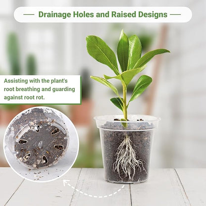 GREANER 60 Pcs Nursery Pots for Plants, 2.4 Inch Small Starter Seed for Seedling, Transparent Plastic Plant Pots with Bonus 20 Plant Labels-Clear