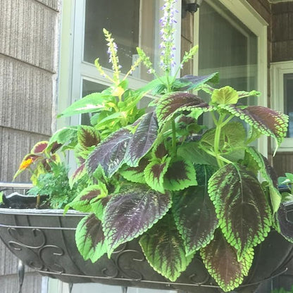 24 Inch Fabric Trough Coco Liner Replacement for Window Basket Flower Planter - 24" Coconut Coco Fiber Alternative for Hanging Basket Planters. Use 3+ Seasons - Made in The USA!
