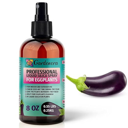𝐒𝐔𝐏𝐄𝐑𝐈𝐎𝐑 Liquid Silica Boost Fertilizer and Supplement Spray for Eggplants – Pre-Mixed, Ready-to-Use Liquid Silicon Plant Superfood Mist for Indoor & Outdoor Plants – 8oz