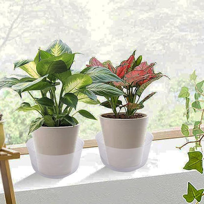 18 Pieces Plastic Plant Saucers - Clear Deep Drip Trays, Thickened Saucers for Pots, Plant Drip Trays for Home Garden Indoor and Outdoor Potted Plants(6, 8, 10 Inch)