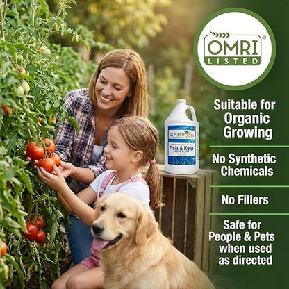 GS Plant Foods Liquid Fish & Kelp Fertilizer (5 Gallons) – Organic Material Review Institute Listed Natural Plant Food for Home Gardens, and Vegetables