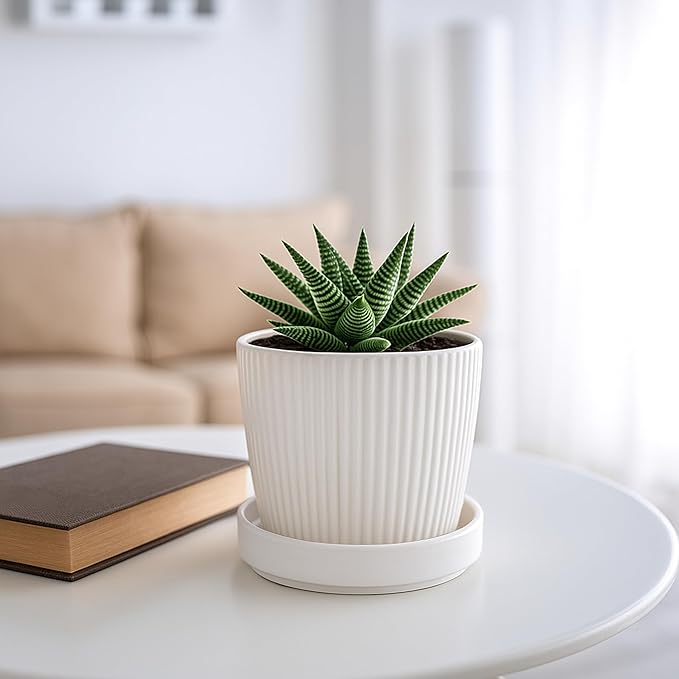 D'vine Dev Modern Round 3.7 Inch Ceramic Plant Pot Saucer, Planter Pot Drainage Tray for Indoor Plants, Set of 4, Matte White, 97-T-A-11