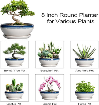 SQOWL Bonsai Pots Ceramic - 8 Inch Succulent Planters Indoor, Succulent Pot with Drainage Hole and Tray, Shallow Ceramic Plant Pot Outdoor, Round Bowl Planter, Porch Decor, Gardening Gift, Blue-Beige